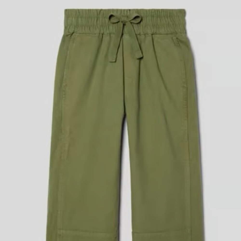 NWOT Everlane Canvas Organic Pull On Pant